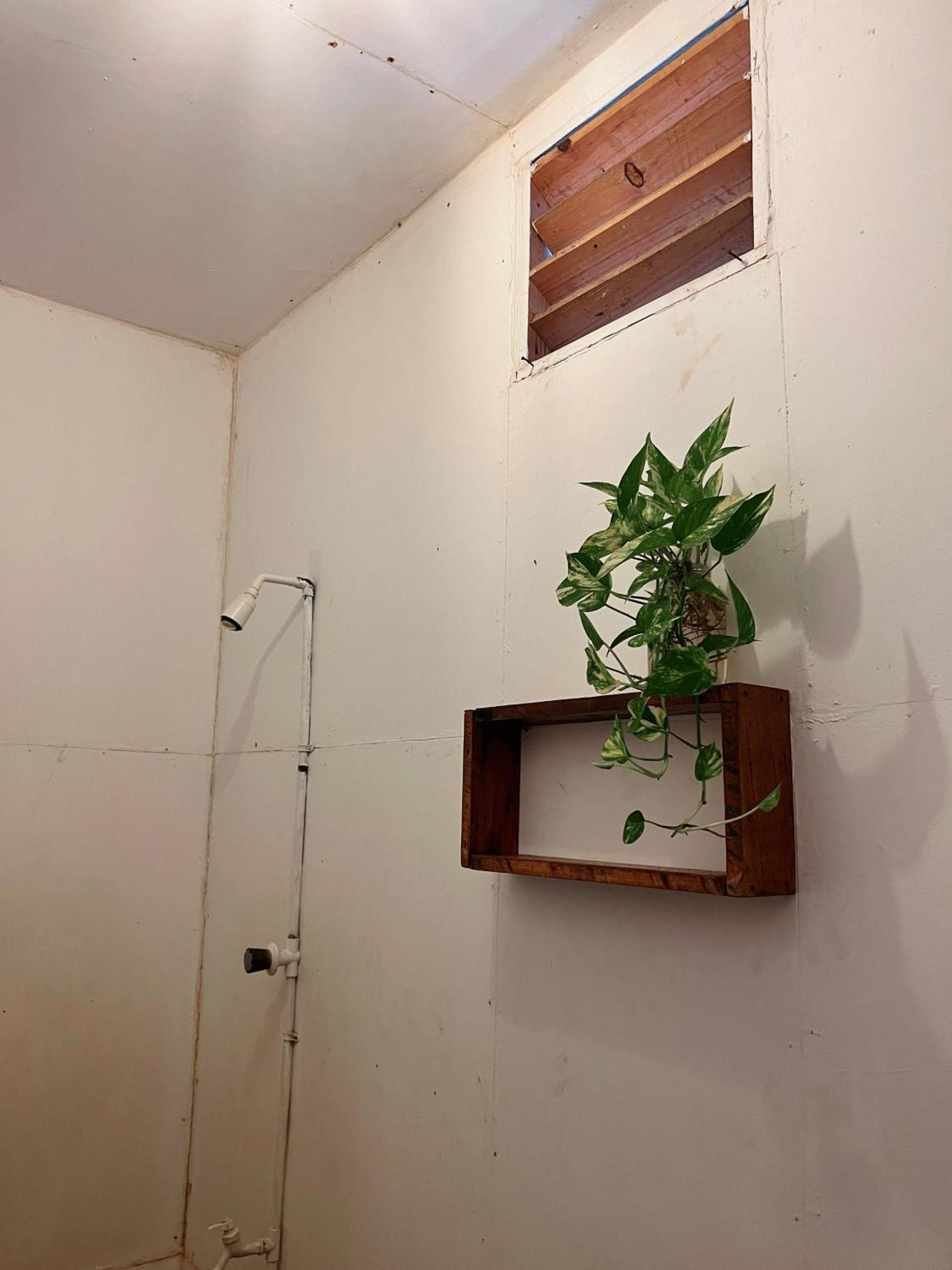 Wave Hunters Hostel Arugam Bay Bagian luar foto